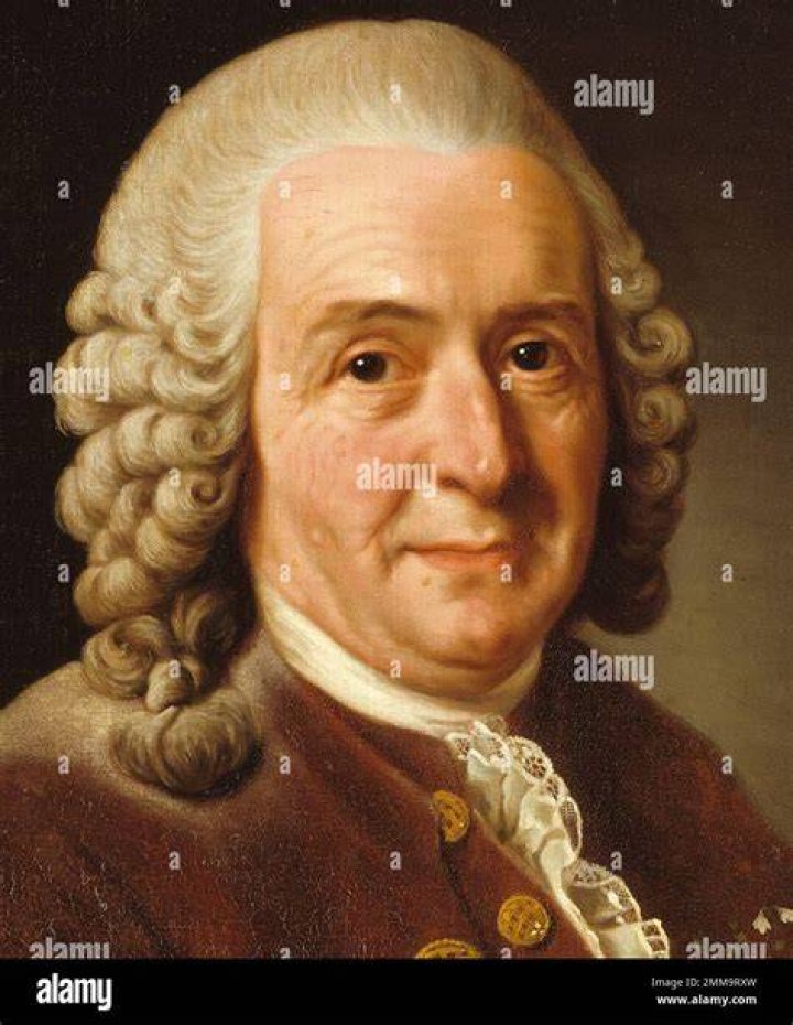 Carl Linnaeus Carl Linnaeus