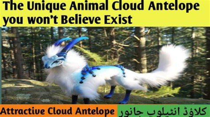 Do cloud antelopes exist?