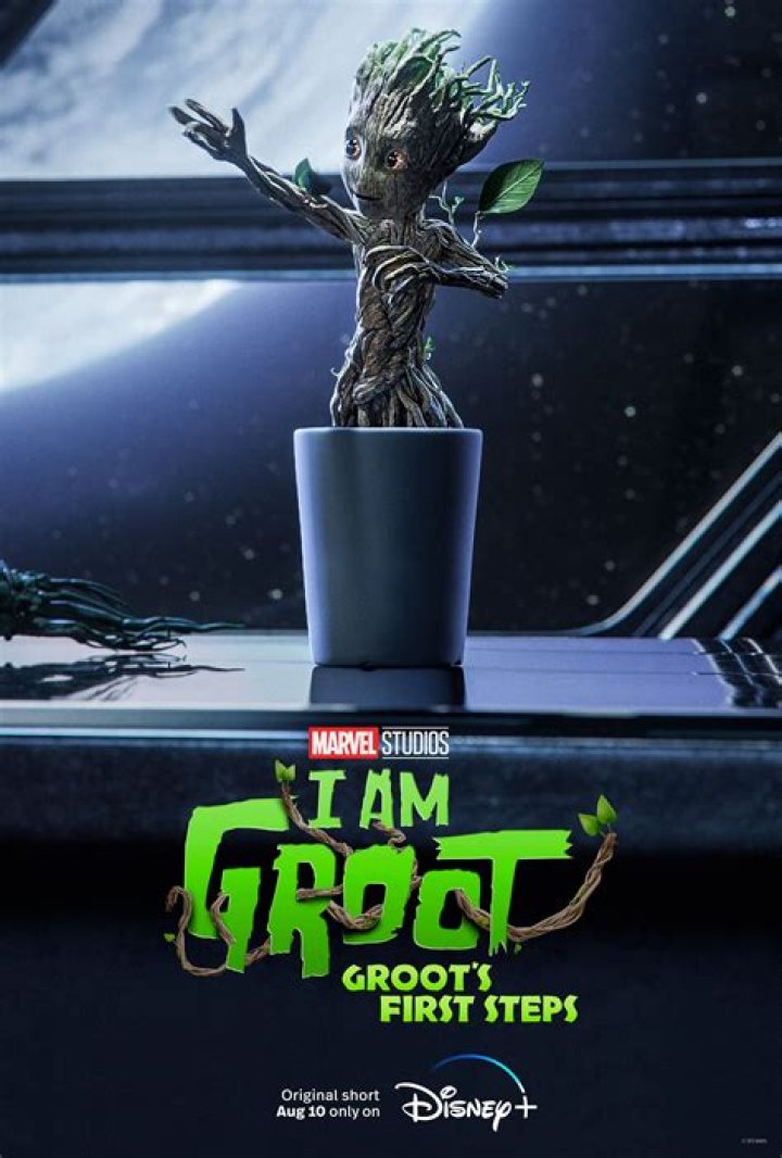 I Am Groot Groots First Steps Groot with a towel