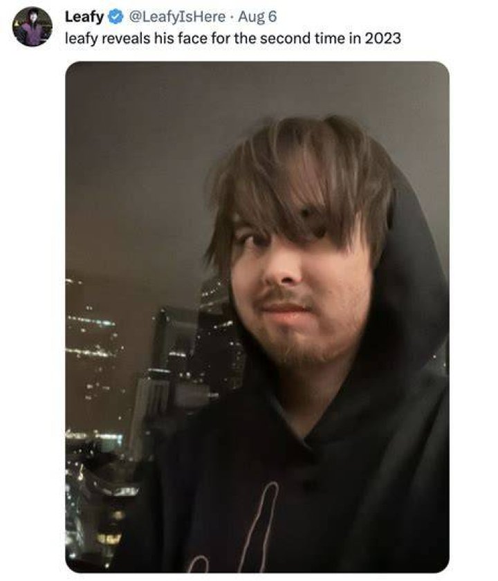 Image result for Leafyishere