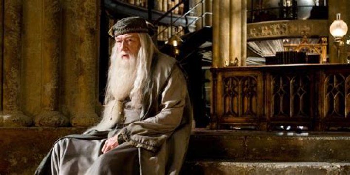 Michael Gambon as Dumbledore