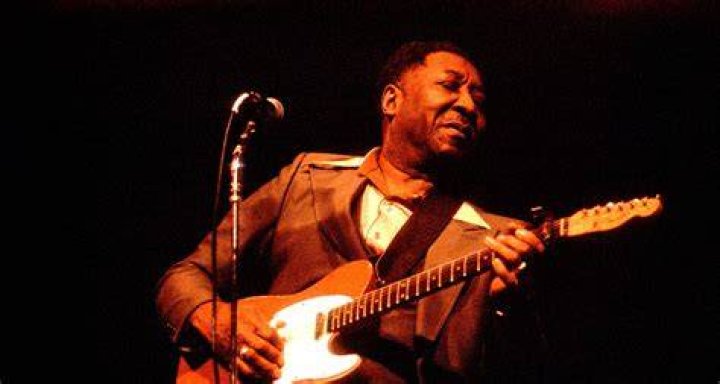 Muddy Waters Muddy Waters