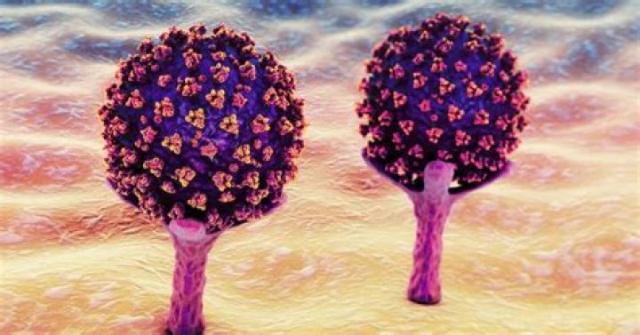 What We Know About Omicron COVID-19 Variant