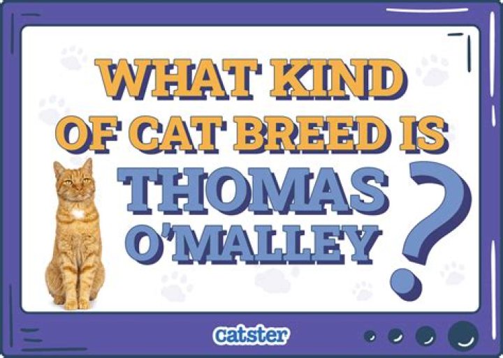 Why is Thomas O Malley's name so long?